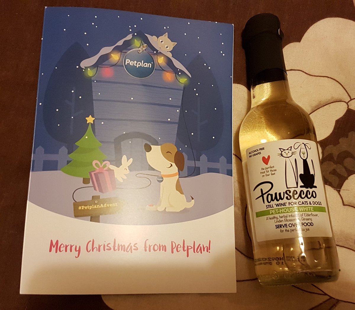 Yay mouse's #pawsecco came today that I won playing the #petplanadvent with @PetplanUK I'm gonna wrap it up for him as a Christmas present 😊 🐈 🍾 🎄thank u #petplan