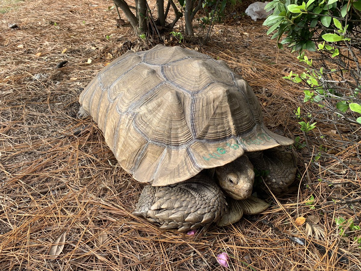 #ihxlife at a dispatch and made some new friends <a href="/Jmatalanglois/">Jenn Mata-Langlois</a>