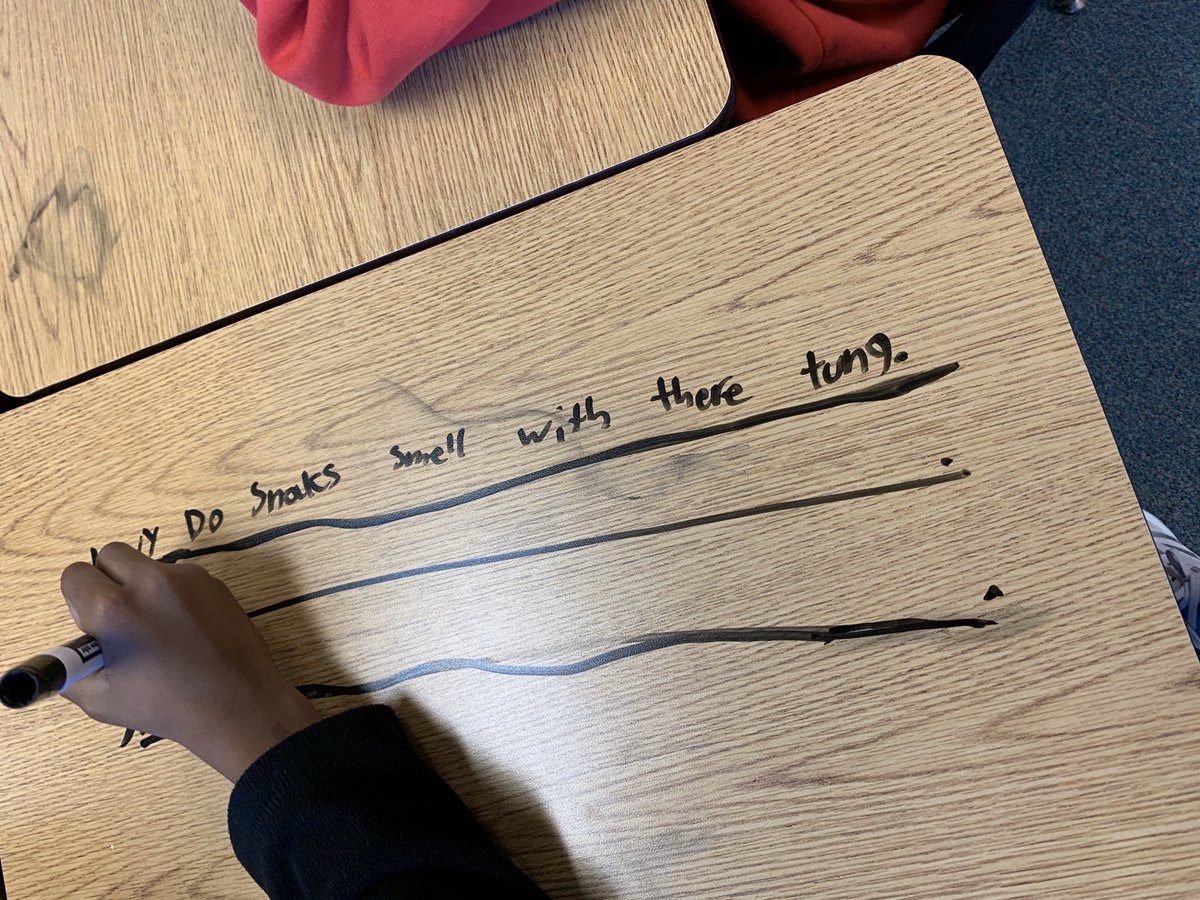 Mrs. Windham tweet media