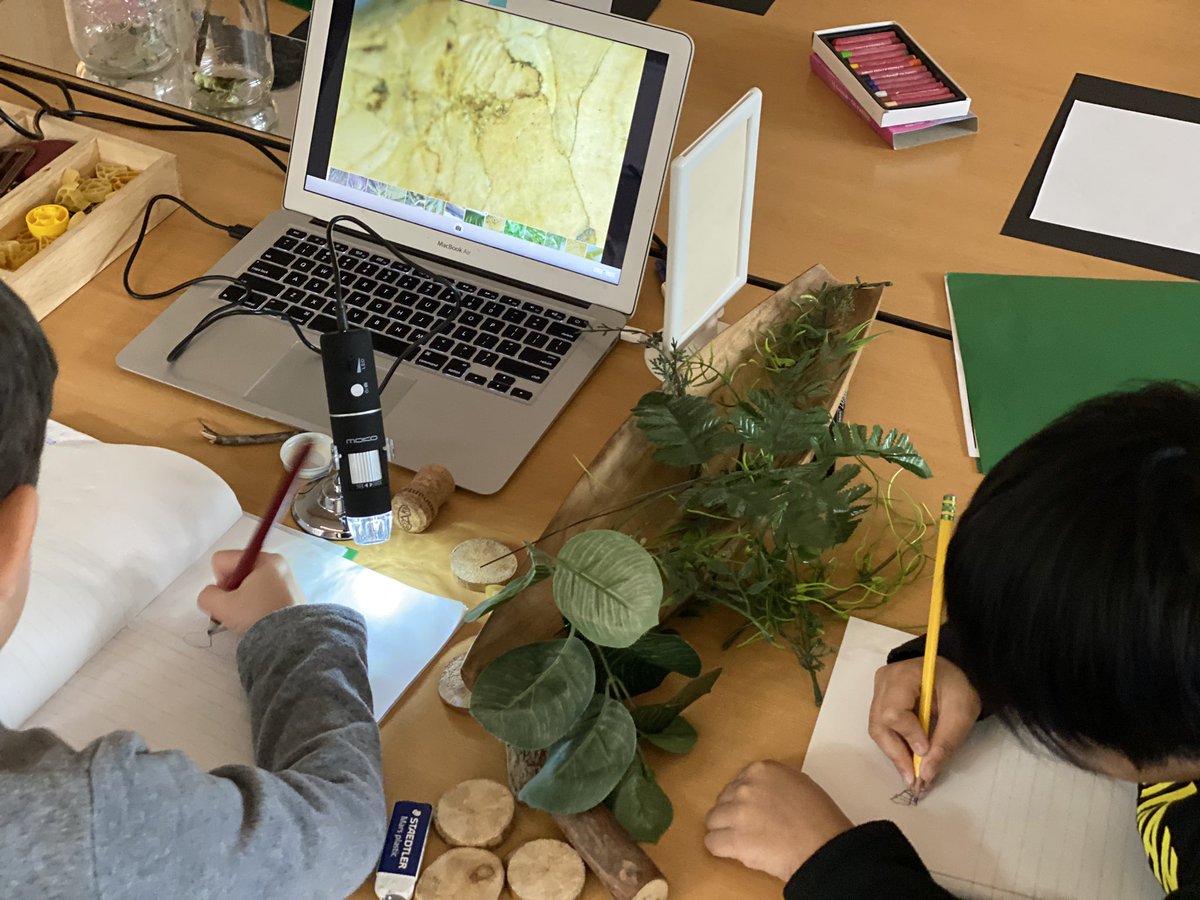 Ellen Reid tweet media