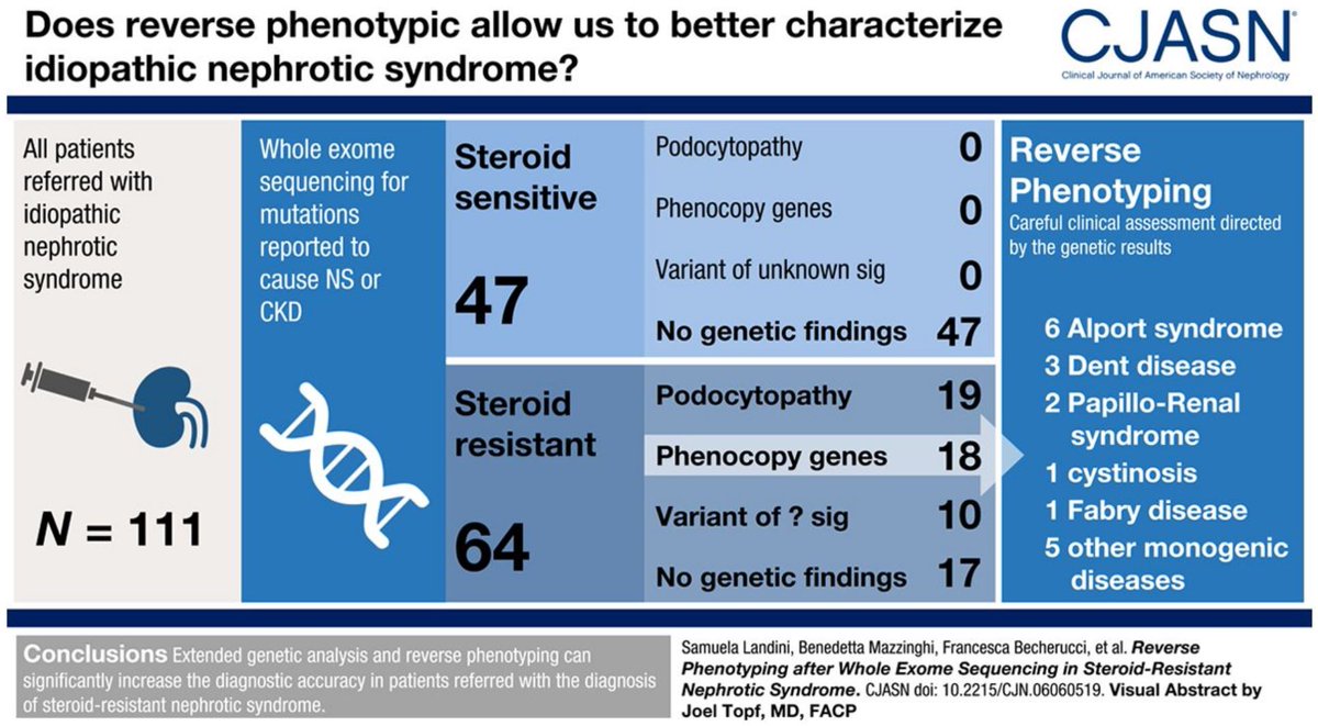 Hans-Joachim Anders (@hjanders_hans) on Twitter photo 60% diagnostic rate with genetic testing in steroid-resistant nephrotic syndrome. Phenocopies as frequent as podocytopathies #SRNS @CJASN <a href="/KidneyNews/">ASN Kidney News</a> <a href="/IPNA_PedNeph/">IPNA Ped Nephrology</a> @Nephcure
cjasn.asnjournals.org/content/early/… 60% diagnostic rate with genetic testing in steroid-resistant nephrotic syndrome. Phenocopies as frequent as podocytopathies #SRNS @CJASN <a href="/KidneyNews/">ASN Kidney News</a> <a href="/IPNA_PedNeph/">IPNA Ped Nephrology</a> @Nephcure
cjasn.asnjournals.org/content/early/…