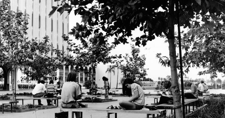 SDSU's tweet photo. #TBT to students hitting the books 📚 Best of luck on your finals, Aztecs! #throwbackthursday #SDSU https://t.co/f5qI1GCAt1