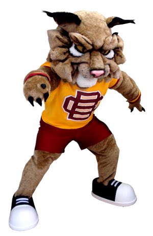 KLGJr13's tweet photo. I will like to announce I have received another division 1 offer from Bethune cookman university. #GoWILDCATS🐾#FloridaBall @Lawalmccray70 @TheRVASportsNet @804Varsity @804football @HuguenotHSfb https://t.co/NBSSjMwRcx