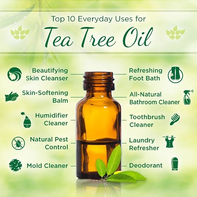 the_miracleherb's tweet photo. #teatreeoil #teatree #teatreeoilbenefits #teatreehaircare #teatreemask #teatreetoner #skincare #skin #bodycare #haircare #beauty #health #eventone #eventoneskin #glowingskin #glow #beautiful #beautifulskin #glowing #dandruff #hairfallreduction #hairfall #haircaretips #hairloss https://t.co/uRD7vN14zB