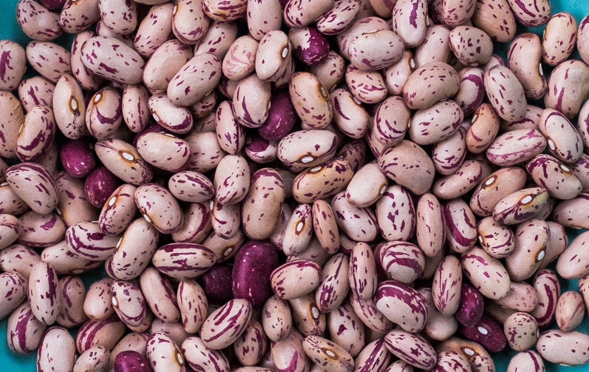 Everyone who loves to cook was making beans this year eater.com/2019/12/12/209…