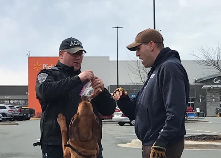 ACPD_VA's tweet photo. Congratulations to ACPD Officer Mikesh, K9 Bella & the Metro Richmond Bloodhound Handlers for another successful re-certification! #ACPDProud #Albemarle #ACPD
https://t.co/Dw3JLs2tCA https://t.co/enW89TLmJS