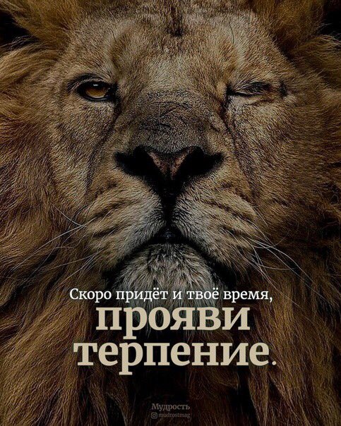 Netadver's tweet image. 