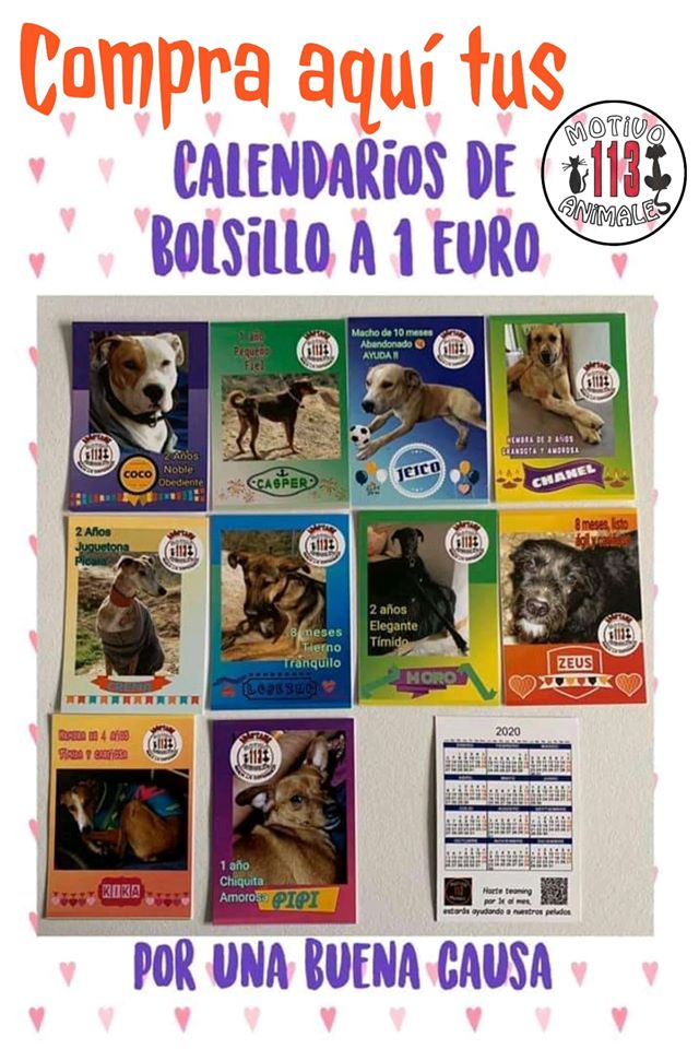 Hostal Ramon y Cajal (@hramonycajalva) on Twitter photo Hasta el 29/2 venta de calendarios de bolsillo a 1 € de la Protectora 113 Motivo Animales .<a href="/113Motivo/">113MotivoAnimales</a> en <a href="/HRamonyCajalVA/">Hostal Ramon y Cajal</a> en el centro de #Valladolid (frente al Hospital Clínico) ow.ly/WxkI50xyKOB #VallaCausas #TuHostalDesde1978 #VallAgenda Hasta el 29/2 venta de calendarios de bolsillo a 1 € de la Protectora 113 Motivo Animales .<a href="/113Motivo/">113MotivoAnimales</a> en <a href="/HRamonyCajalVA/">Hostal Ramon y Cajal</a> en el centro de #Valladolid (frente al Hospital Clínico) ow.ly/WxkI50xyKOB #VallaCausas #TuHostalDesde1978 #VallAgenda