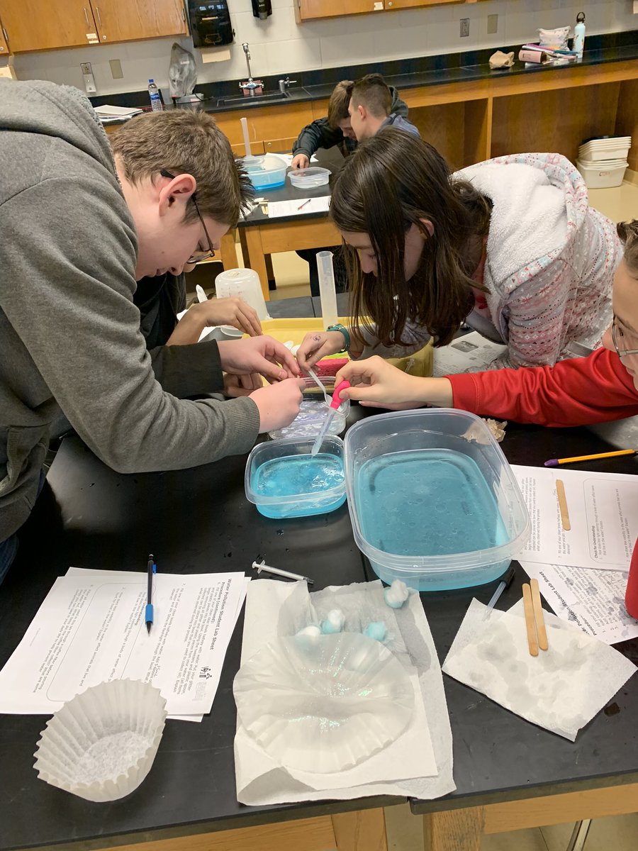 7-1 DMS Wolves tweet media