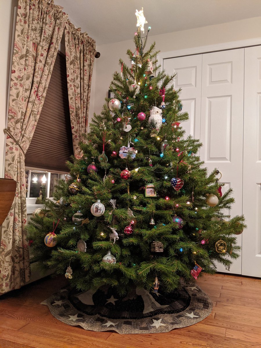MichaelAZekas's tweet photo. Mom: "You're welcome to do the Christmas tree while you're home!"
Me: "So, you invite me back home to decorate the Christmas Tree for you. Got it~ 😏🎄" #dutifulson https://t.co/KuayGiA3Kq
