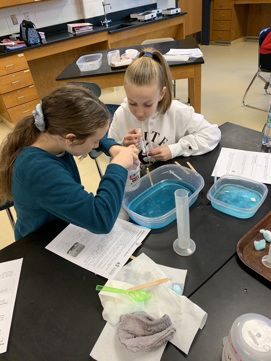 7-1 DMS Wolves tweet media