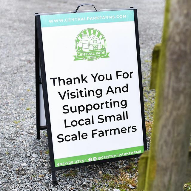 CentralParkFarm's tweet photo. // Farmers Are Business People // I know we’re not supposed to say that... but I’m not exactly sure why?
.
If you know my story, you likely know I was a business woman long before I became a farmer and until I started Central Park Farms I didn’t realize … https://t.co/uGRUIwcJZG https://t.co/JheKAPA4oE