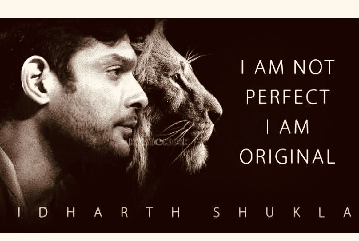     Happy Birthday Lion King  