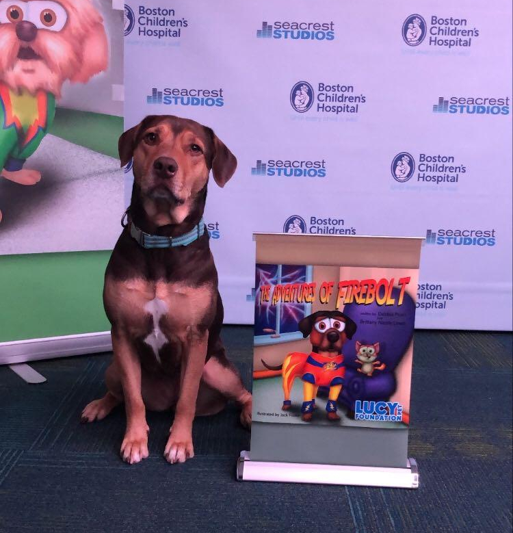 Today we had some furry friends from <a href="/TheFurtastics/">The Furtastics</a> stop by the <a href="/RyanFoundation/">Ryan Seacrest Foundation</a> to show us a few tricks! 🐾