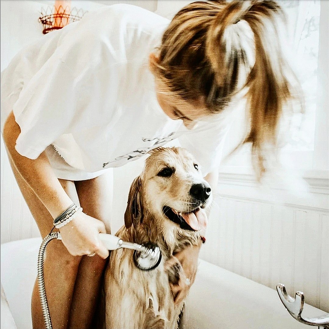 After a day in the rain, IT'S BATH TIME!🐶🛀
.
Dogs are super cuddly wet or dry!😁
#bathtime #dogs #Rain