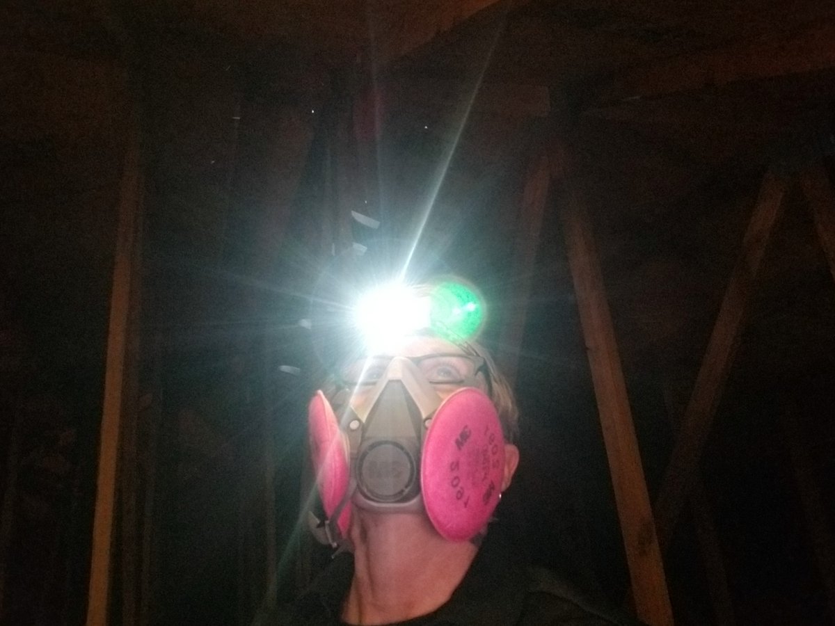RadiantInspect's tweet photo. Just another day on the job and doing what we love to do! 🕵️‍♀️Eileen🔎 (one of our Certified Master Inspectors) doing a Wind Mitigation.🏠 Did you know that every 5 years your Wind Mit expires? Call us today to schedule a Wind Mit. https://t.co/QatzYbqipT