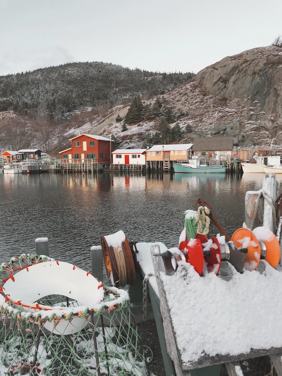 First snowfall sights in #QuidiVidi. Scenes like this make us excited for the winter season. #explorenl #stjohns #winterwonderland
