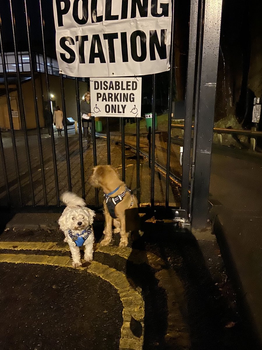 Swainymum's tweet photo. Can you tell that Milo (on the right) is a novice at this? Minty however knows the drill. No need to look behind him at all. #dogsatpollingstations2019 https://t.co/lPZdOAMr4M