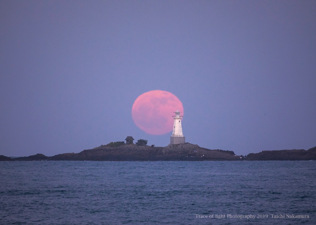 traceoflight's tweet photo. Last Full Moon Rising for 2019 https://t.co/28tpv4xvqG https://t.co/vvOlMG9SvA