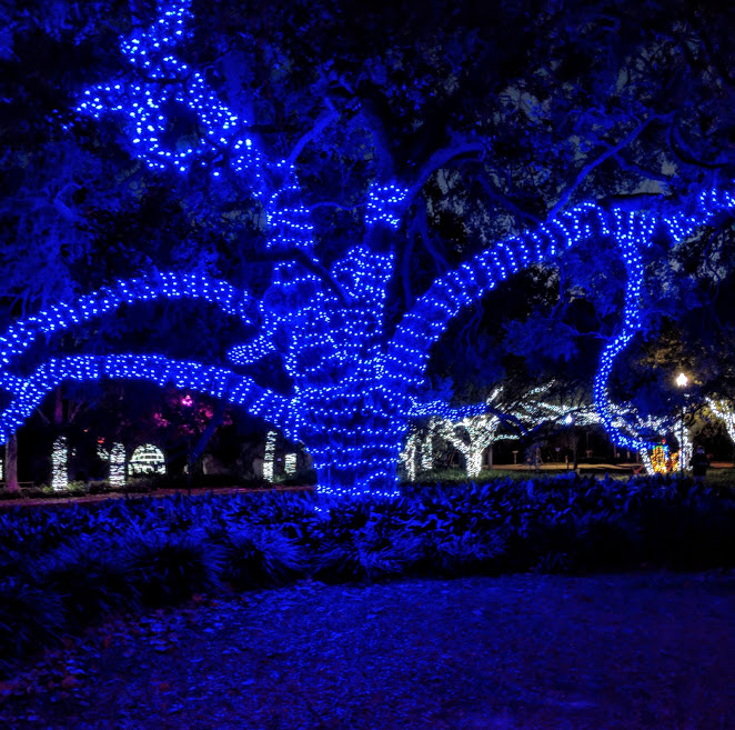 50over55's tweet photo. We love traveling at Christmas! Last Christmas we traveled to Largo FL. We were surprised by how many Christmas lights and events they had.  It's great to walk through the park on a warm evening.
#Largocentralpark #christmaslights  #Christmastravel
https://t.co/agtIyKGISb https://t.co/H5hNNi3qlL