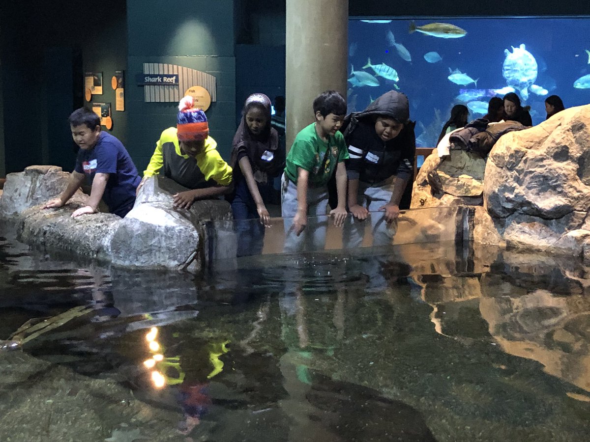 SLBogdanovich's tweet photo. Annual 5th grade MN Zoo field trip 😊 #pltweets https://t.co/C37yWCZo3g