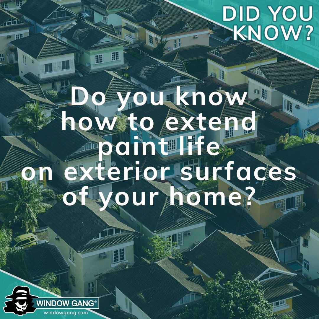 Window Gang's low pressure chemical house washing method can extend paint life by three years or more. Let the experts help to protect your investment. Call us today for more info!
---
#WindowGang #servicebeyondyourexpectations #housepainting