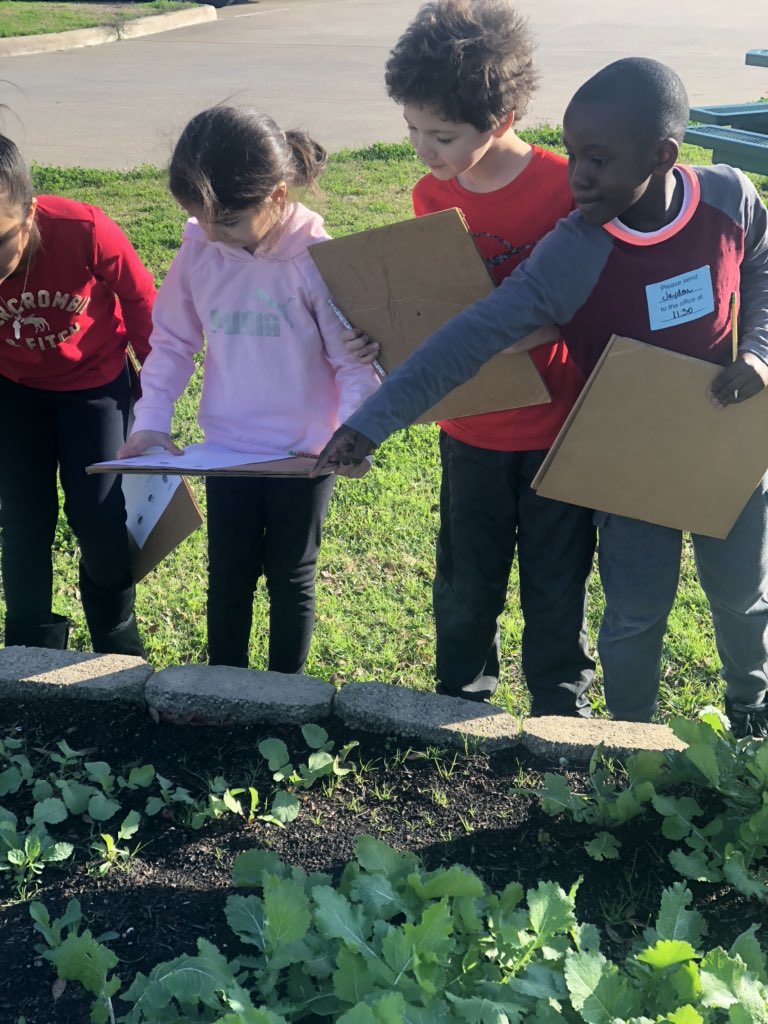 MrsMiksch23's tweet photo. Garden day fun! Beautiful, chilly day exploring our garden at @RobisonES! https://t.co/Dynu4rSCLX