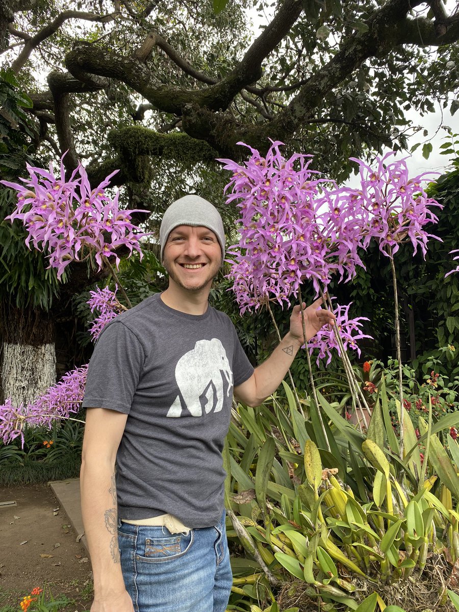 Challen Willemsen tweet media