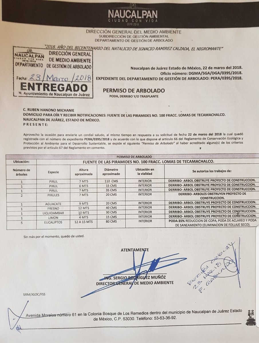 jultraber's tweet photo. Necesaria inspección física y documental de @GobNau a obra #FuentePiramides100 donde al parecer a la constructora le importó poco el número autorizado de árboles. Atención a colindancias y conexión a drenaje de fosa séptica @PDuranReveles @MauricioContigo @Edomex @VecinosTECA https://t.co/IcwRkQS3v6