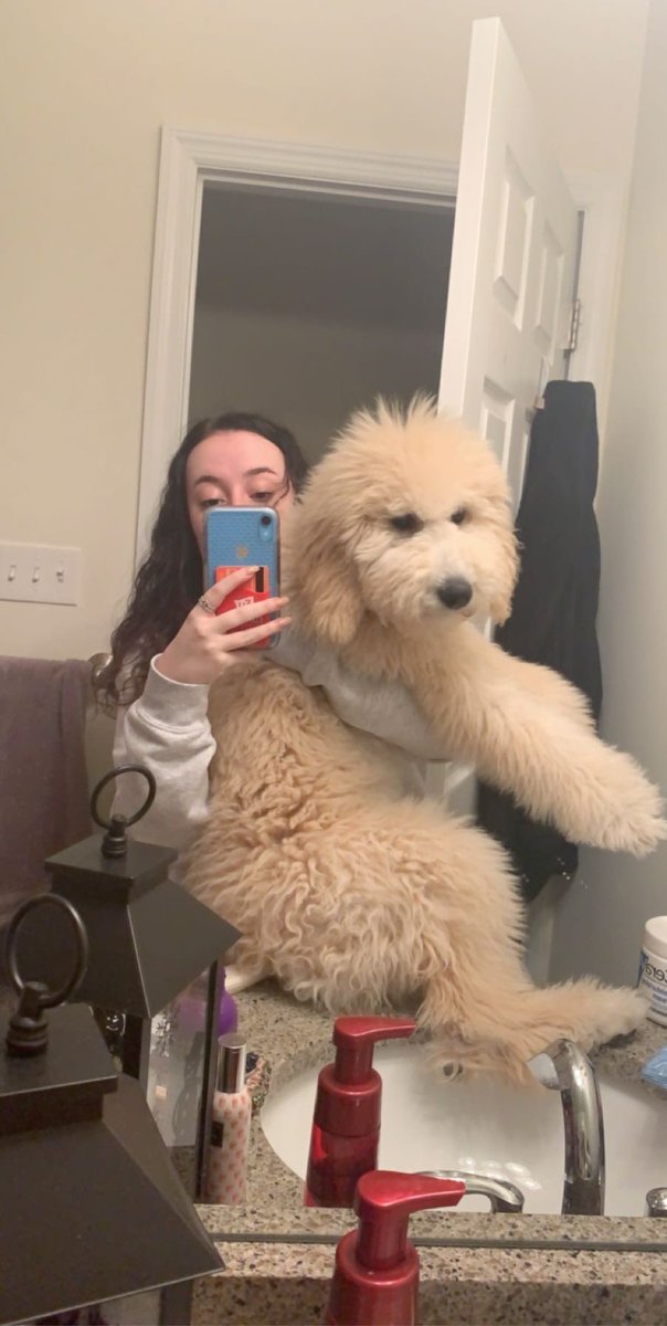 julia_petrovich's tweet photo. 2 1/2 months to 5 months w my puppy 🥺🥰 https://t.co/8YwYOQUyGC