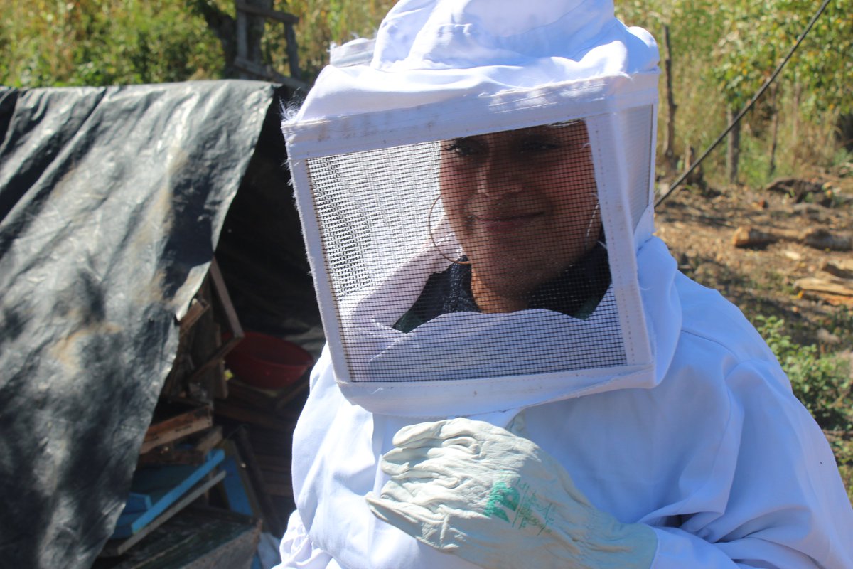 ADTENicaragua's tweet photo. #Nicaragua: 🐝🍯 "La apicultura es una gran oportunidad. En mi caso me ha servido porque soy una madre soltera, llevar ingresos a mi hogar, salir adelante y ser referente para otras jóvenes", dijo Cristian Lanuza a Efe, Lea la historia completa 👉👉 https://t.co/C5ThFA252t https://t.co/b5zf2sIBmQ