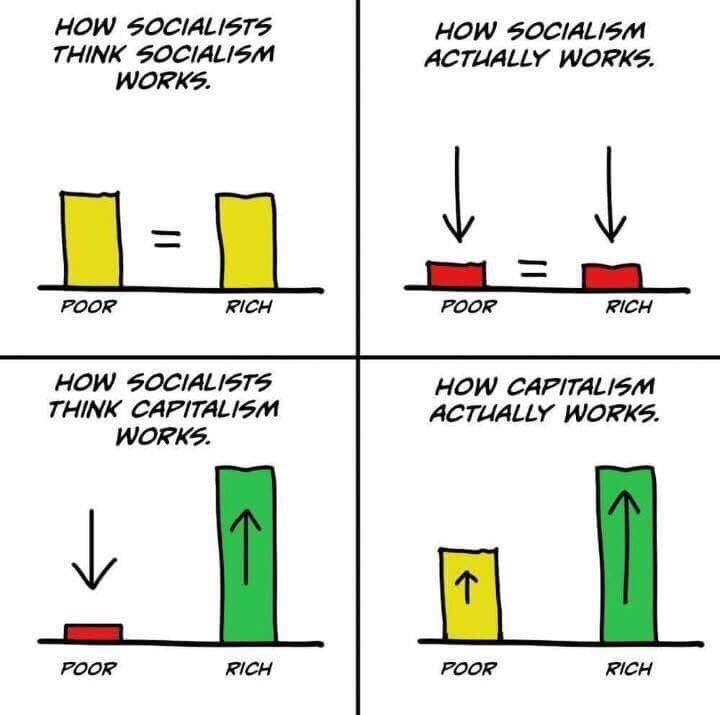 steve_hanke's tweet photo. Economics made simple: https://t.co/Y9F9Nuhb46