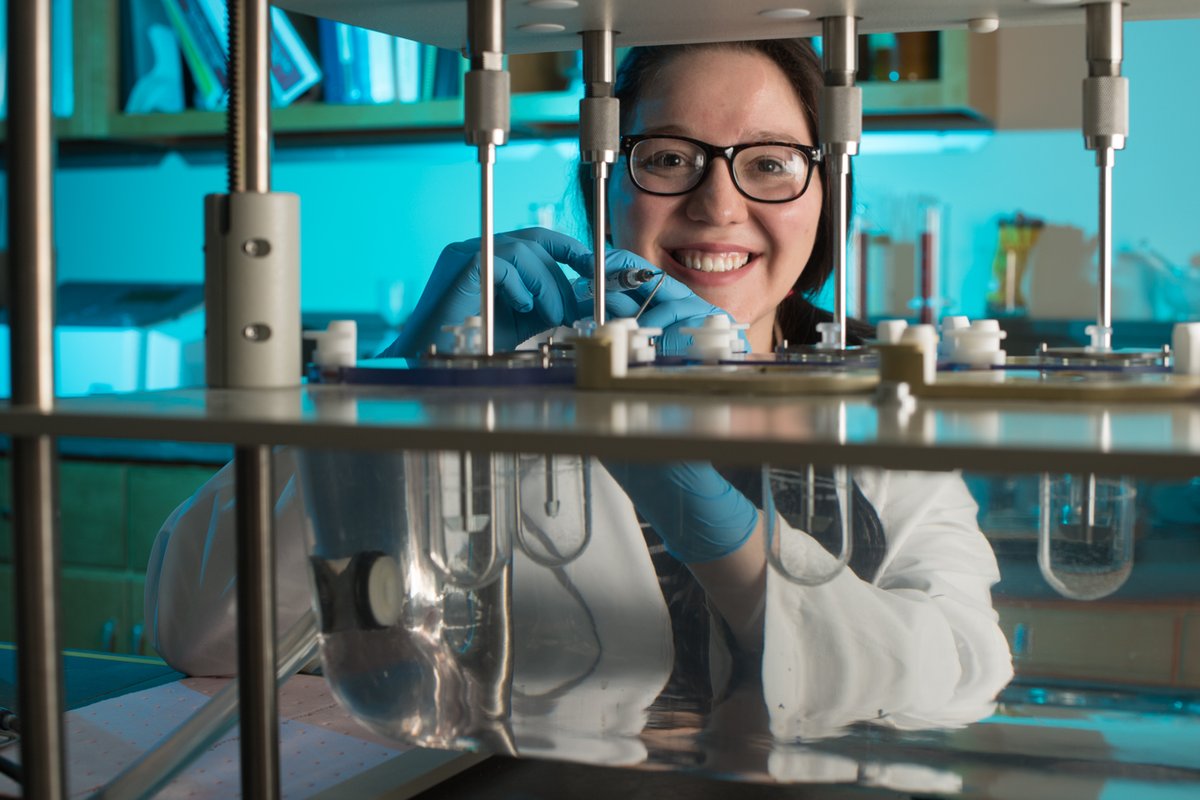 FerrisState's tweet photo. .@BridgeMichigan recently highlighted Ferris and other schools in an analysis of #ROI for graduates. @FerrisState ranked prominently among public university peers in Michigan. #FERR1S #FerrisForward

Read more: https://t.co/UB3dOtZqNP https://t.co/XgLI9EwP1K