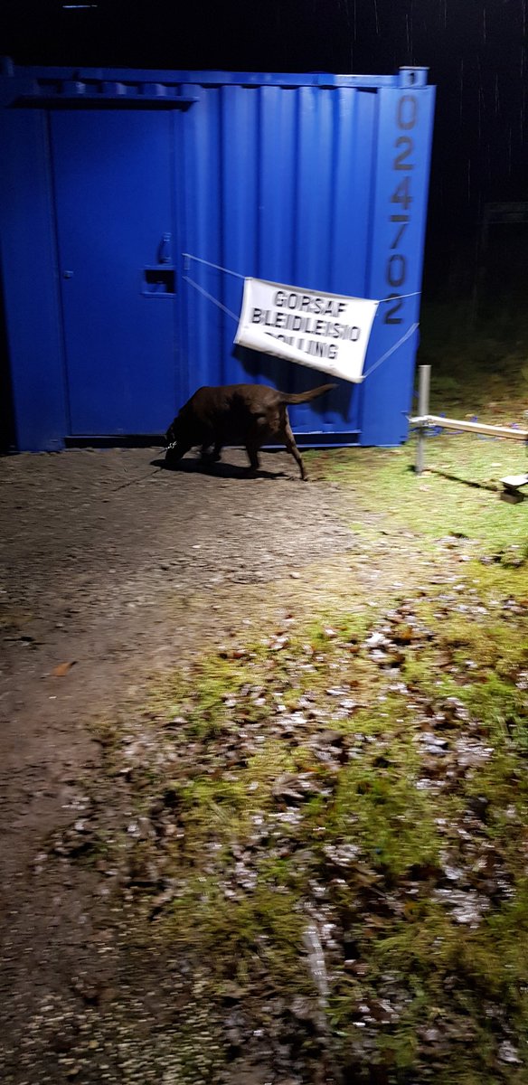 eddiefilo's tweet image. Arcie unable to stay still at the polling station this evening. #DogsAtPollingStation