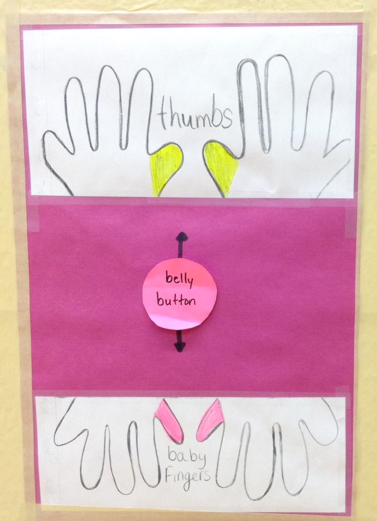 Mrs.MacKenzie tweet media