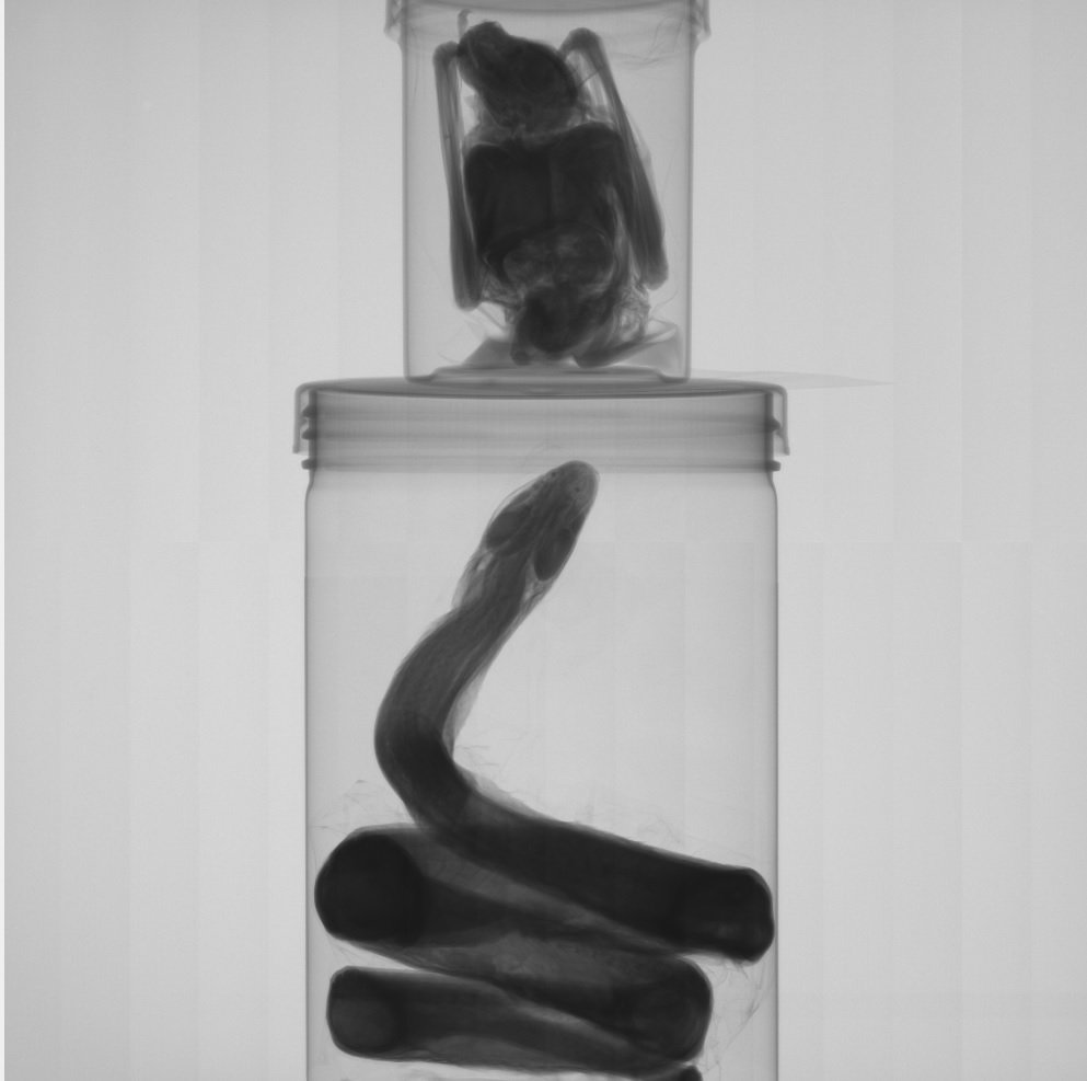 Ramon Nagesan tweet media