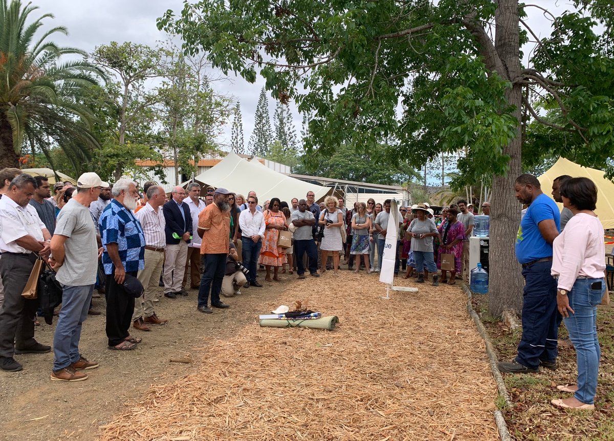 IAC - Inst. agro. NC tweet media