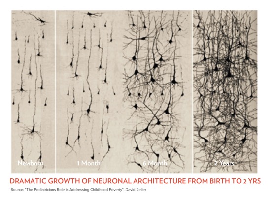 ParentInfantFdn's tweet photo. The first 1001 days from conception is a period of uniquely rapid growth. More than 1 million new connections are formed every second in a baby’s growing brain #First1001days #earlyrelationships #nurturingcare #AdventTweet #14 https://t.co/3aXP4vC4cn