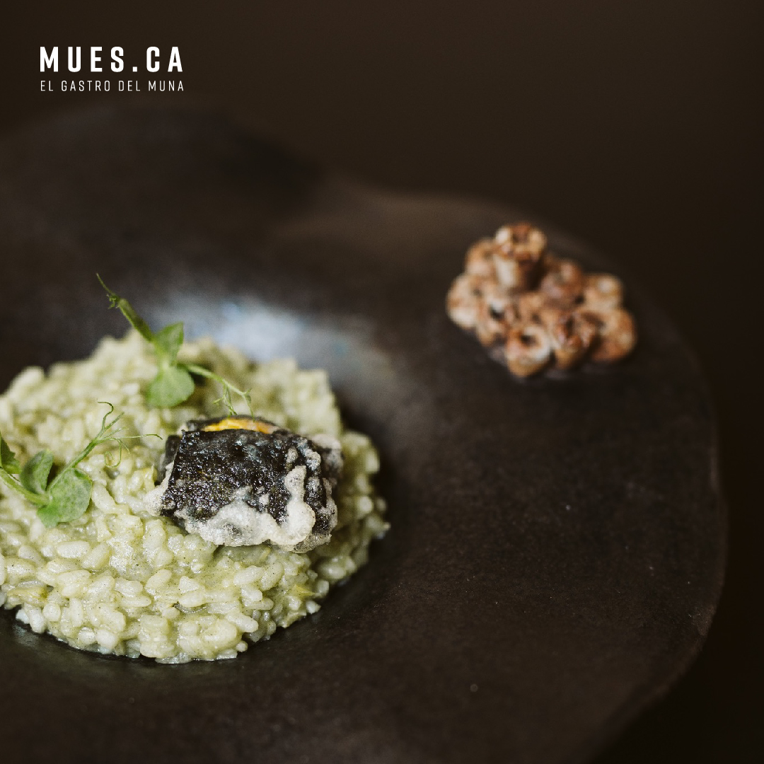 📣🔸En <a href="/macfesti/">MÁC Festival</a> ➡ Mues.ca - El Gastro de Muna será el encargado de deleitarnos  con tapas gourmets como pollo al #curry rojo y riquísimas mini #hamburguesas con chutney de papaya 🍽🍔 
▪
<a href="/MuseosTenerife/">Museos de Tenerife</a> #MÁCFestival2019 #food #foodie