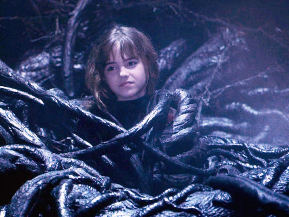Harry_Potter_TM's tweet photo. Mi 2024 en 4 imágenes. https://t.co/riJbM5Glfj