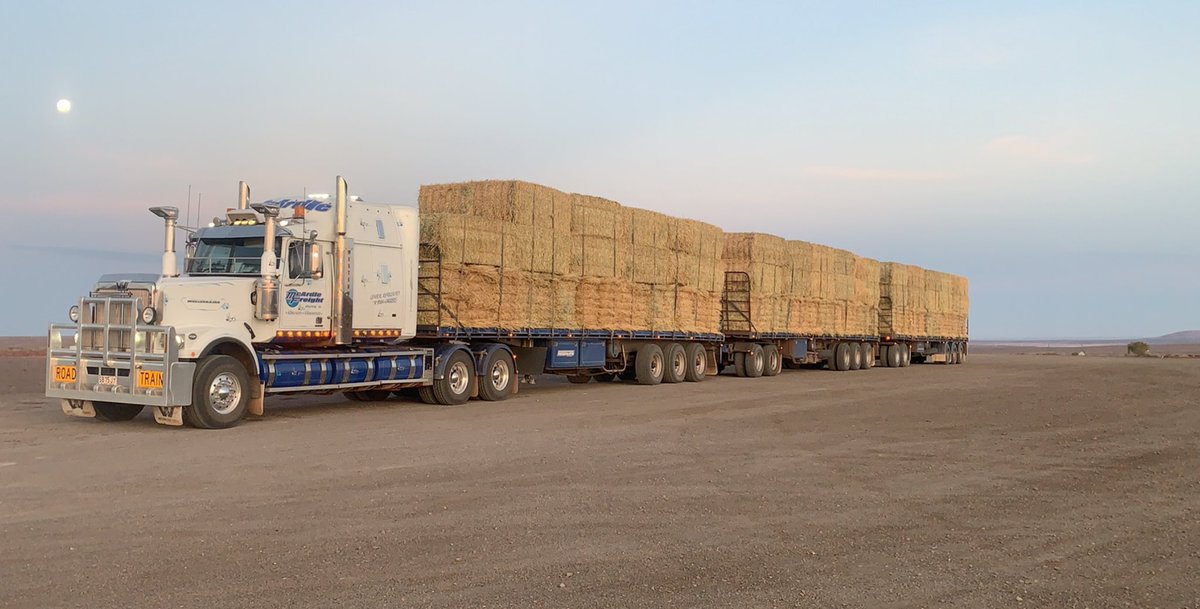 Joel Daniel tweet media