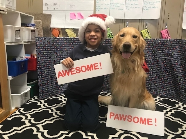 falkschool's tweet photo. Dogs of Roosevelt! #sgfs #animals #dogs #comfort #love https://t.co/9zd2PAWflU