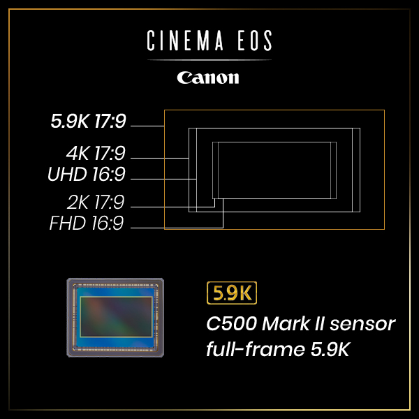 La nueva #C500MarkII de #Canon cuenta con un nuevo sensor full-frame 5.9K, que soporta modos recortados Super 35mm y Super 16MM. 👌

#Canon #Cinema #Cine #CinemaEOS