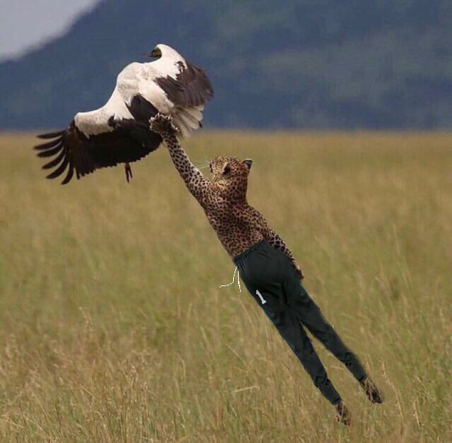 ماجد (@majed_9_4) on Twitter photo 