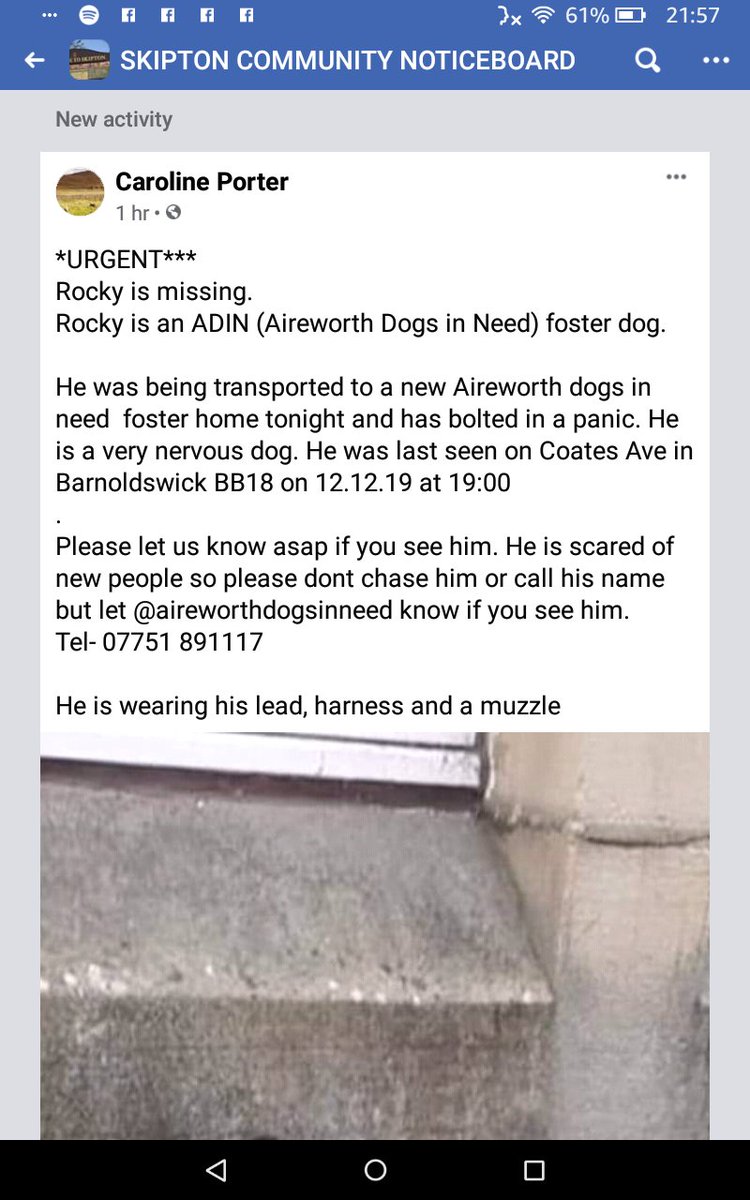 HunnyJax's tweet photo. 🔴🆘 @tagthedogteam @Lancashirejc @sar_dogs
 @LostIlkley
 #ROCKYisMissing 😟
TONIGHT a NERVOUS @AireworthDogs FOSTER Dog BOLTED when taken to Foster Home 😧
Last seen COATES AVE #BB18 @1900hrs
#BARNOLDSWICK (nr SKIPTON) #Lancs
wearing LEAD HARNESS &amp; MUZZLE
IF SEEN🙏📞07751 891117 https://t.co/Bei4Z7Qfwz