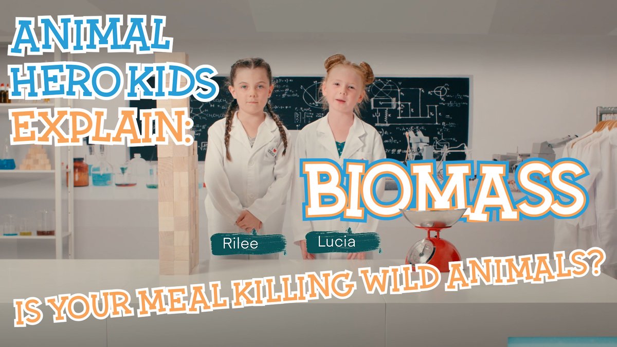 AnimalHeroKids's tweet photo. Animal Hero Kids Explain: Biomass
Does your meal kill wild animals?

video here: 👇👇
https://t.co/L1tf9OE8u6

#Kind2All #Educate2Liberate #MAHA #MakeAmericaHealthyAgain #Vegan #Biomass #AnimalHeroKids #GoVegan #WildAnimals https://t.co/6o9merCwnL