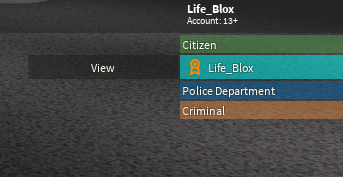 Life Blox On Twitter Just Noticed They Forgot To Clear The Text