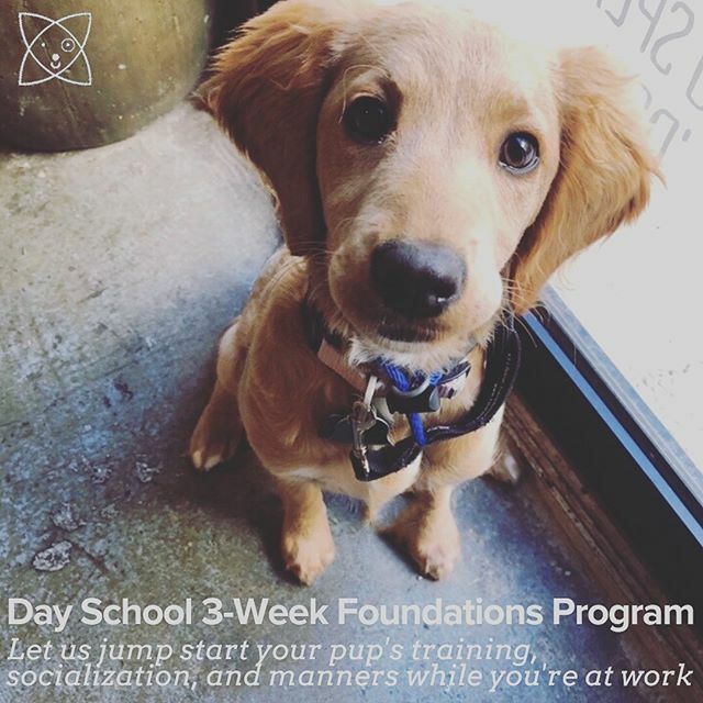 Opportunity Barks tweet media