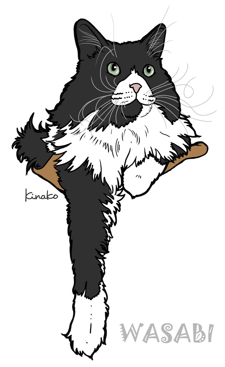 きなこ 猫の絵を描いています A Twitter 昨日に続き きじとらねこさんのわさび君 わーやんのイラストです 片足星人 のポーズ 長い手をだらーん よくこのポーズしていましたね なんかカッコいい 猫絵 Cat Drawing 猫イラスト 猫画 メインクーン