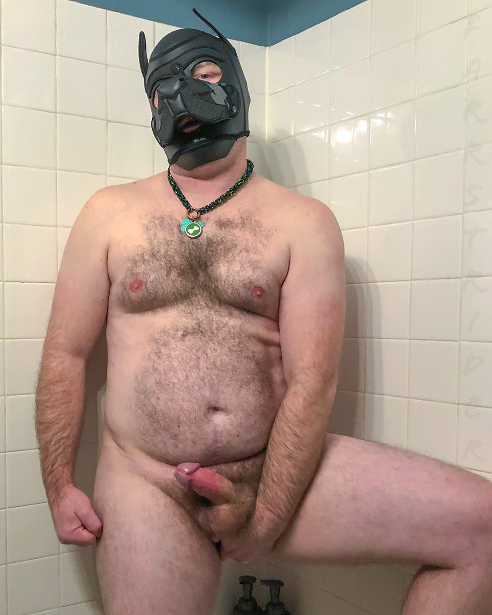 pupfarrstrider's tweet photo. Feelin my oats 🐾 https://t.co/niLjI2tV6d